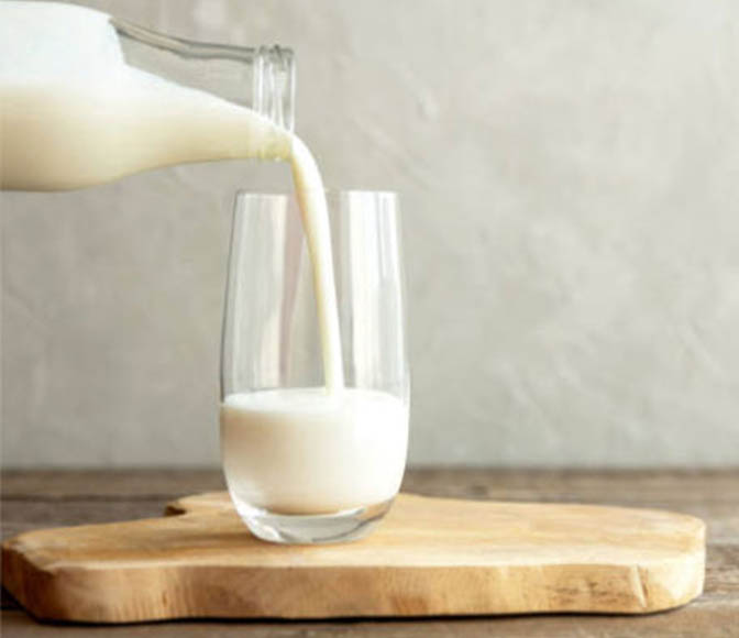 A2 Süt Nasıl Üretiliyor?
